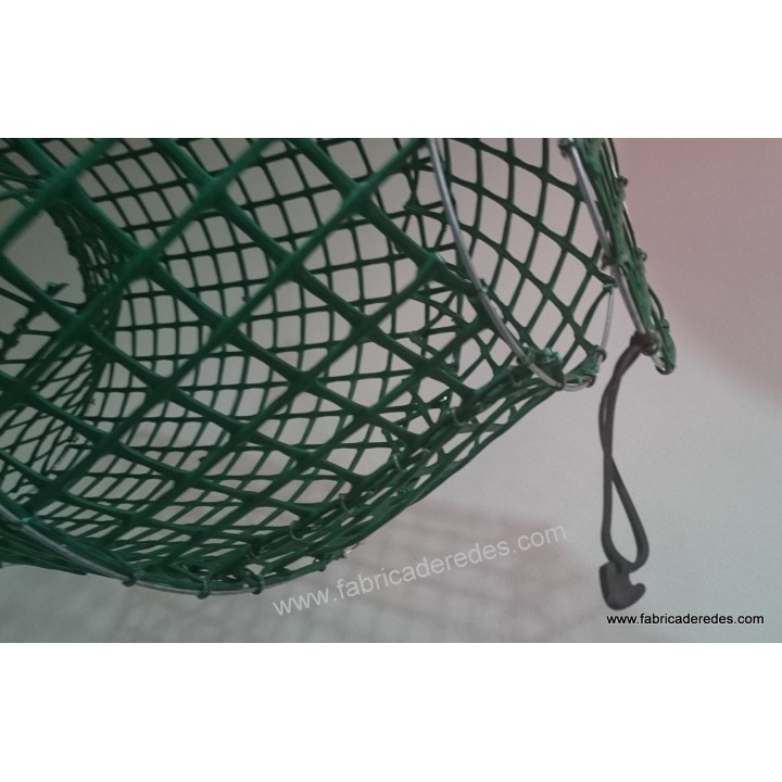 Polpo e pentola di pesce