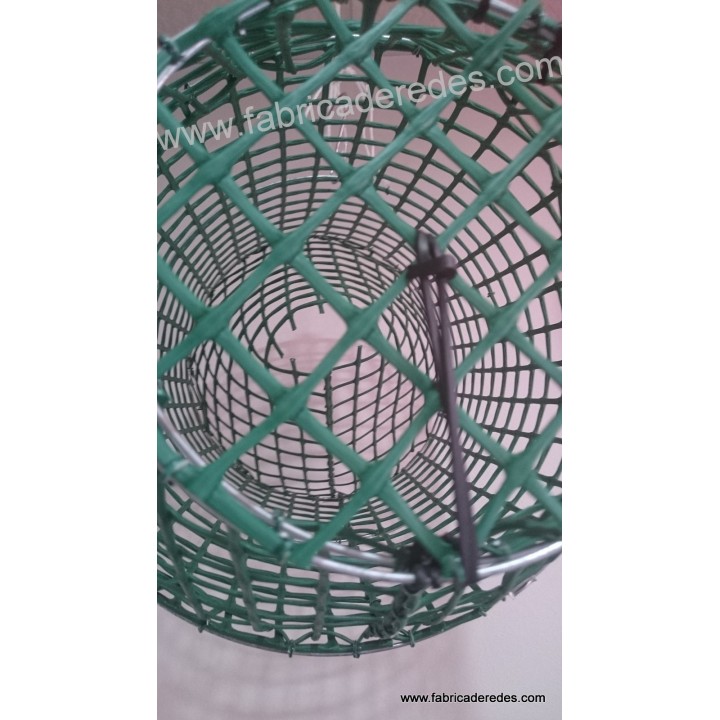 Polpo e pentola di pesce