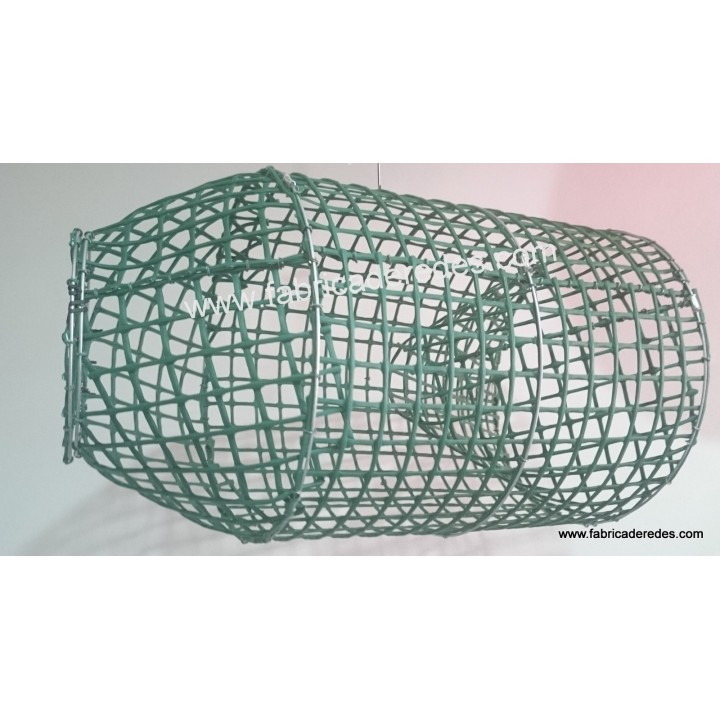 Oktopus und Fischtopf