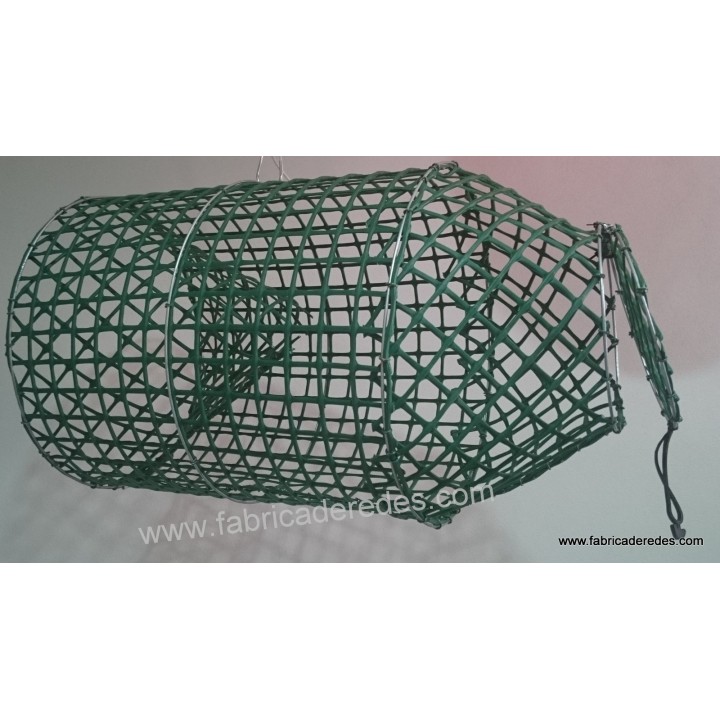 Polpo e pentola di pesce