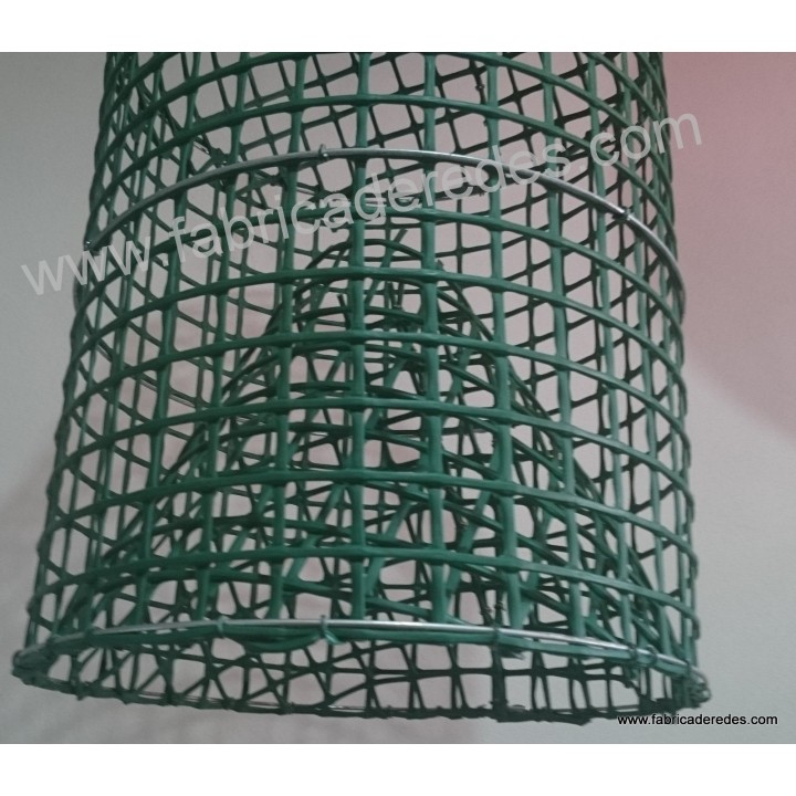 Nasa de pulpo y pescado