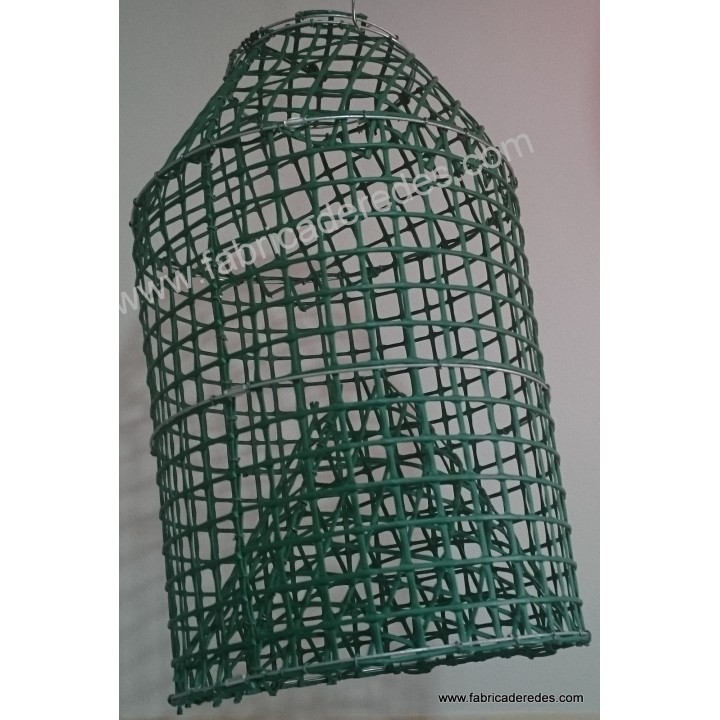 Poulpe et pot de poisson