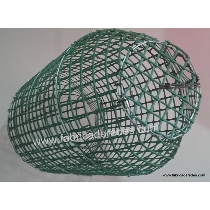 Octopus and fish pot