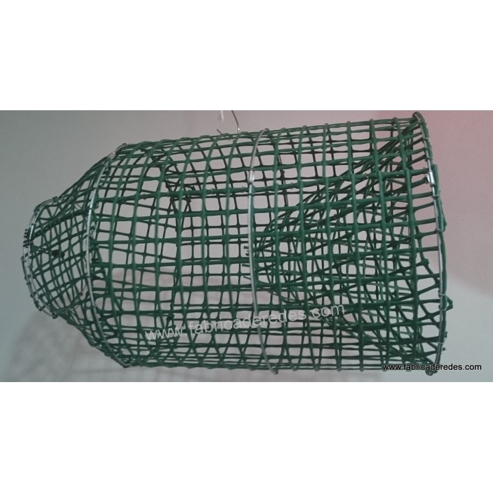 Polpo e pentola di pesce