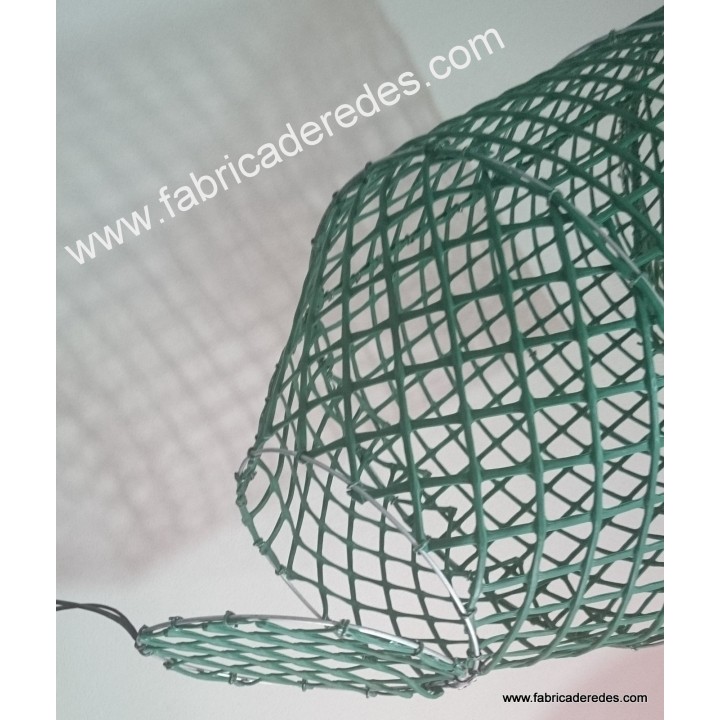 Polpo e pentola di pesce