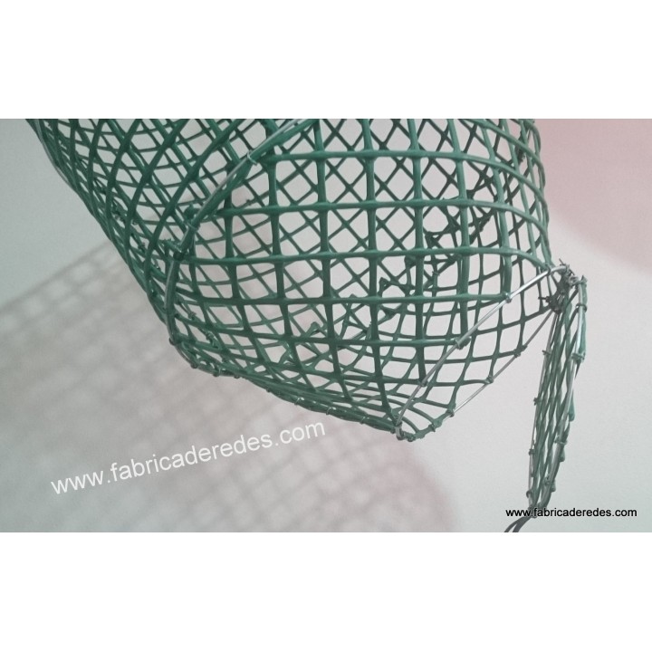 Polpo e pentola di pesce