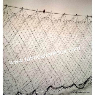 Trasmallo langosta 3 pasas