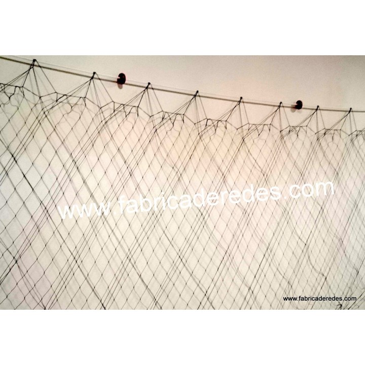 Trasmallo langosta 3 pasas