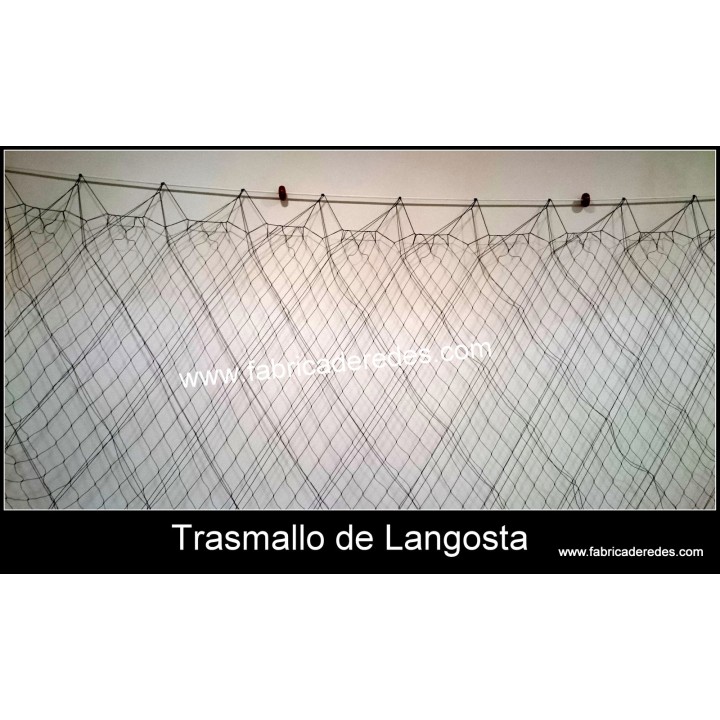 Trasmallo langosta 3 pasas