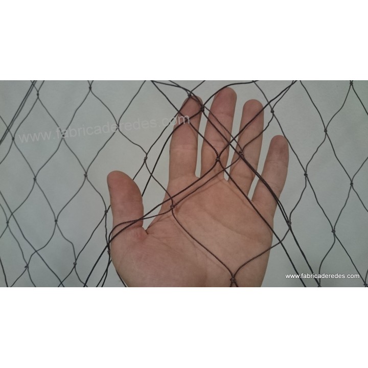 Trasmallo langosta 3 pasas