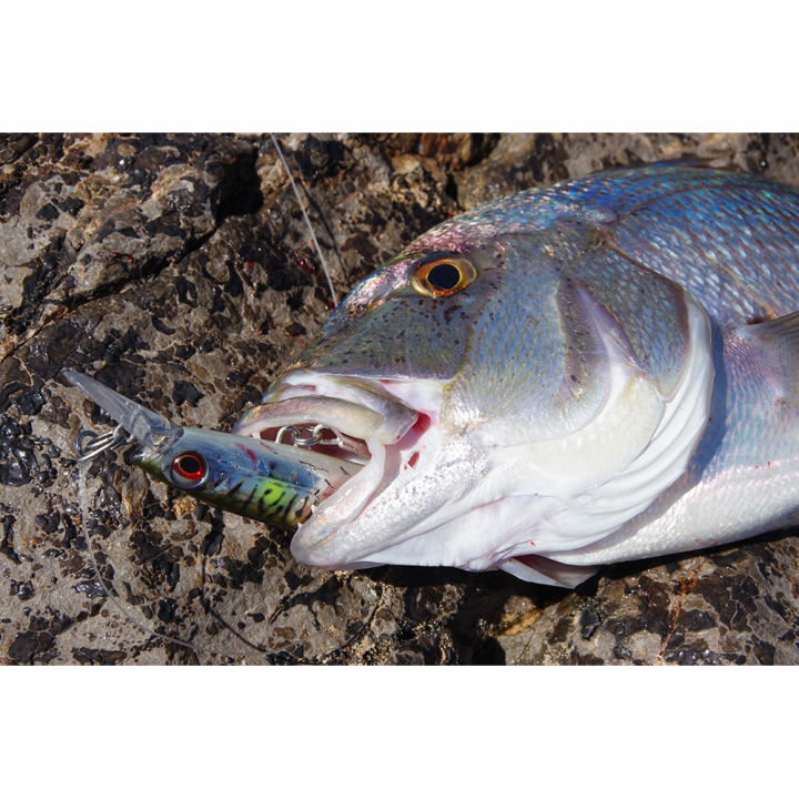 SAVAGE GEAR GRAVITY RUNNER 10 CM