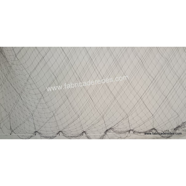 Hummer 3 Rosinen tranchieren