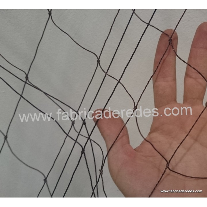 Hummer 3 Rosinen tranchieren