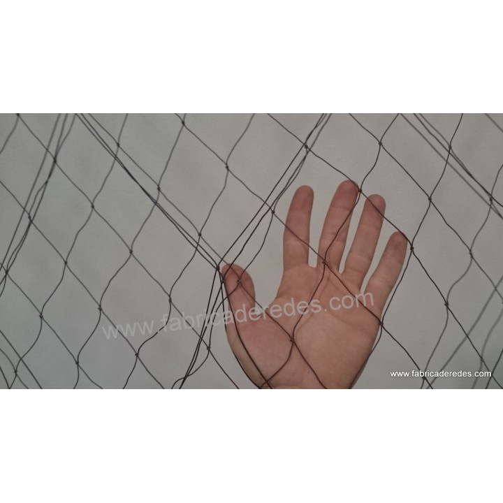 Trasmallo langosta 3 pasas