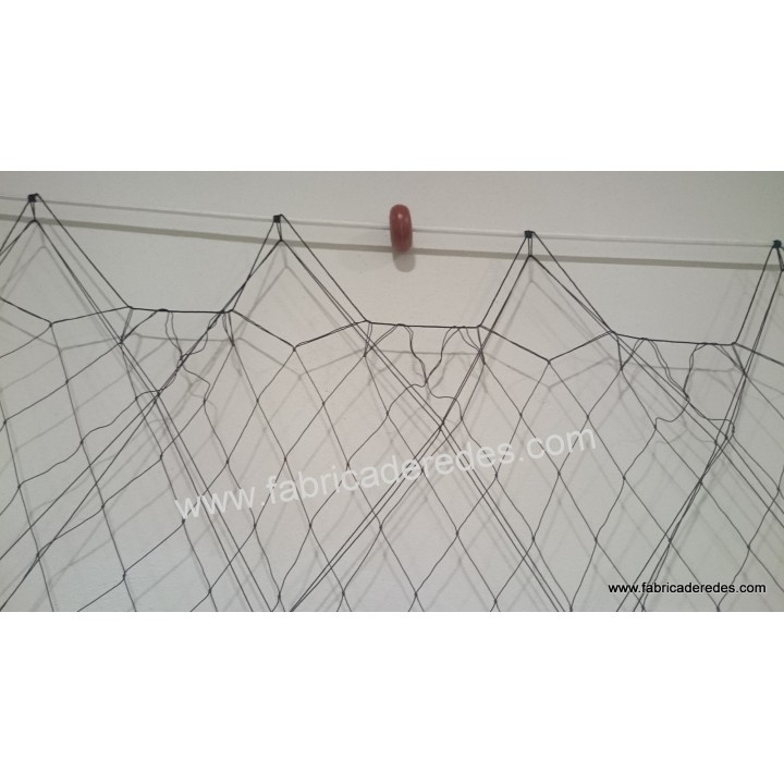 Trammel lobster 3 raisins