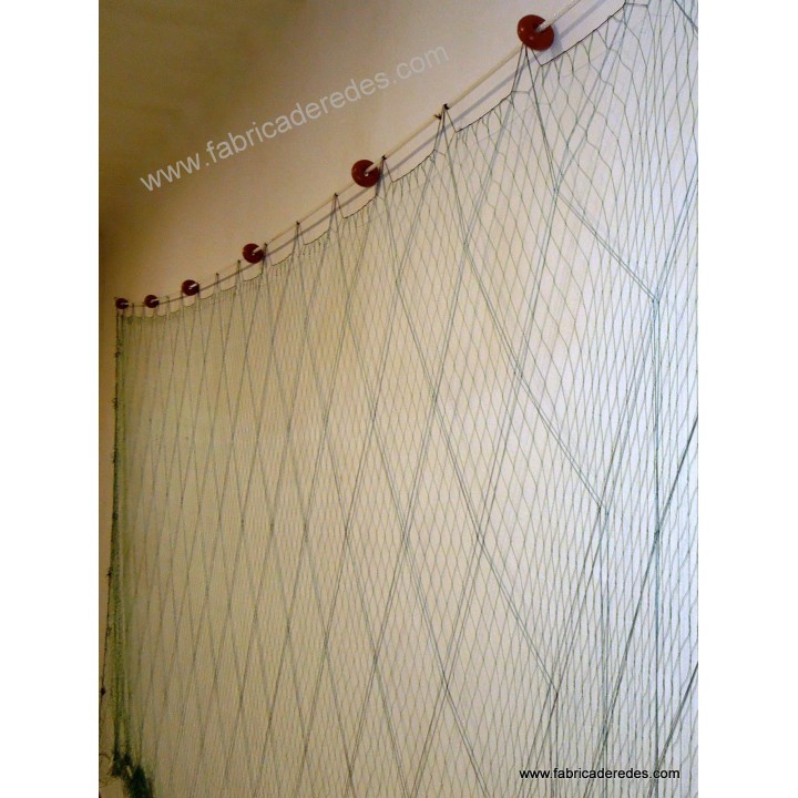 Seiche trémail 5,5 raisins secs