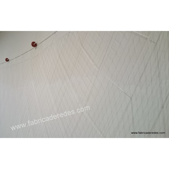 Tresmalho Sepia cinco passas