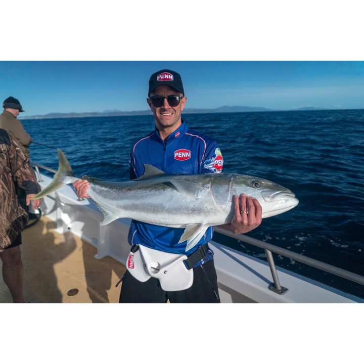 PENN GIMBAL BELT CINTO