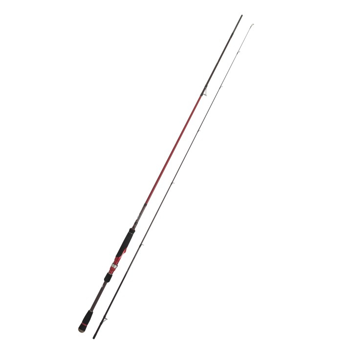 Cinnetic CRAFTY CRB4 Eging Evolution 2,58 mts