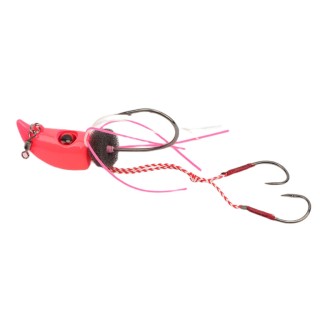 RAGTENYA: Innovation et efficacité dans la pêche au ténya