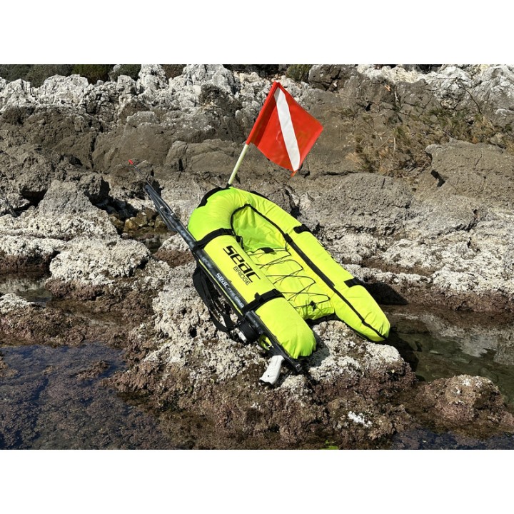 Underwater Fishing Boya: SEAC BRIDGE