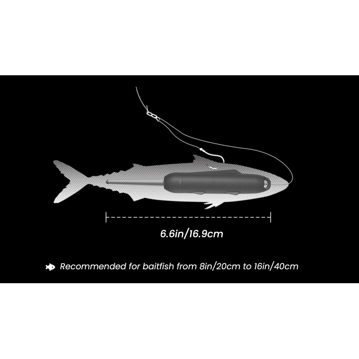 Kanama Smart Bait: Intelligent Brain to Catch Big Fish Efficiently