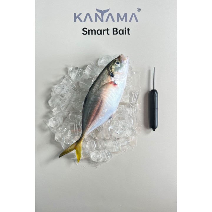 Kanama Smart Bait: esca intelligente per attirare grandi pesci in modo efficiente