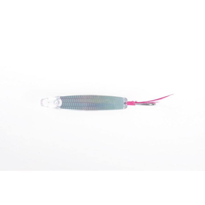 YUMIZUNO SURF YUMIZUNO Yamashita para bacon e bela pesca