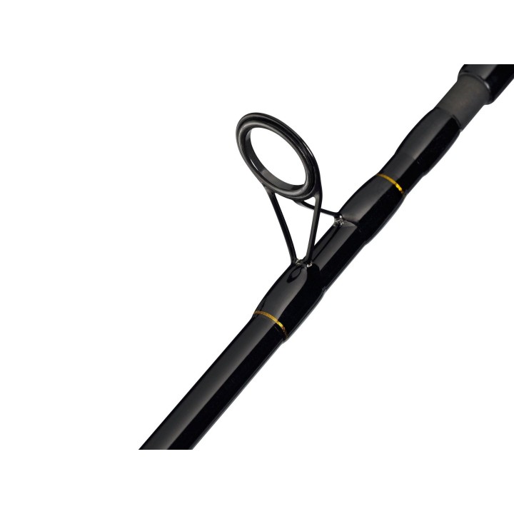 Mitchell ADVENTURE II 2,70 metri 10/50g MULTIPICKER