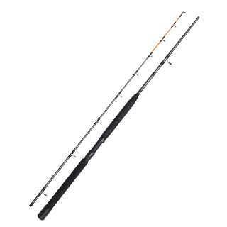 DAM Salmonizer Trolling Spinning Rod 2,10 Meter 10-20 Pfund